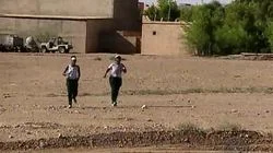 We Just Won't Die, Like Roaches