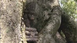 The Hidden Immunity Idol