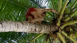 Like a Wide-Eyed Kid in the Candy Store