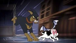 Vampire Rabbit Season