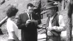 Erle Stanley Gardner's The Case of the Drowsy Mosquito