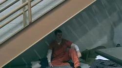 Meet the Participants