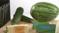 Yucca, Watermelon, Tortillas