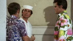 Follow the White Brick Road