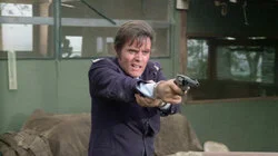 McGarrett is Missing