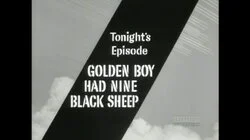 Golden Boy Had Nine Black Sheep