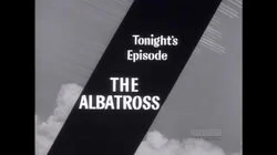 The Albatross