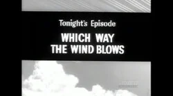 Which Way the Wind Blows