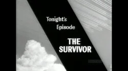 The Survivor