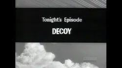 Decoy