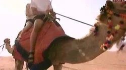 Oh My Goodness, I Have to Eat a Brain!