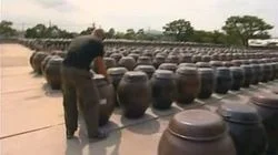 Did That Hit Your Head?