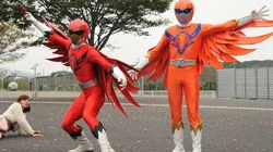 High in the Sky, Flying Wings