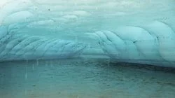 Cloning the Woolly Mammoth