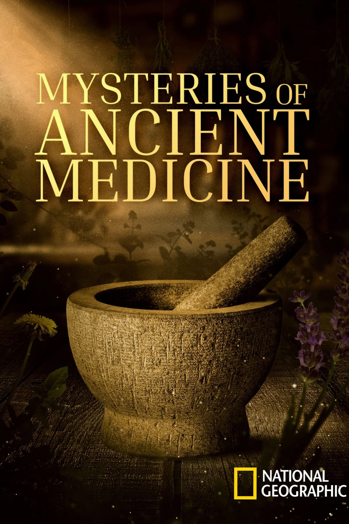 Mysteries of Ancient Medicine