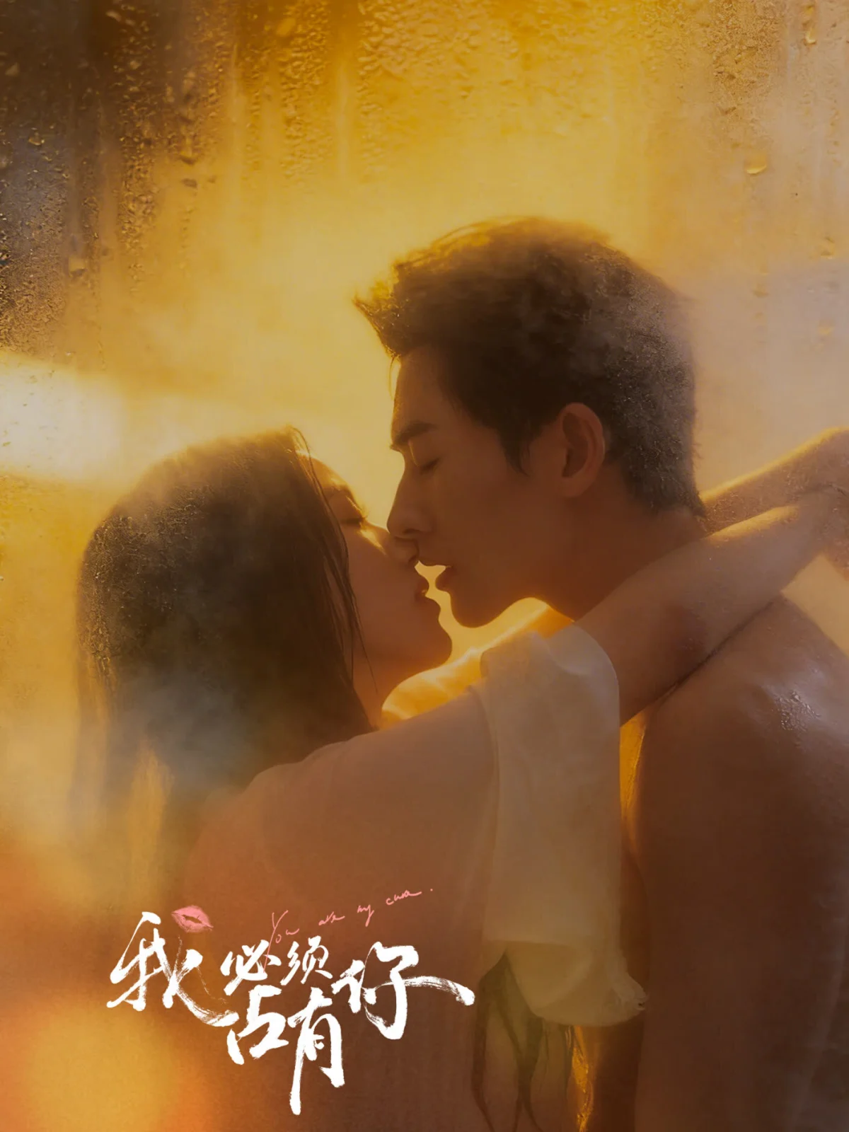Wo Bi Xu Zhan You Ni