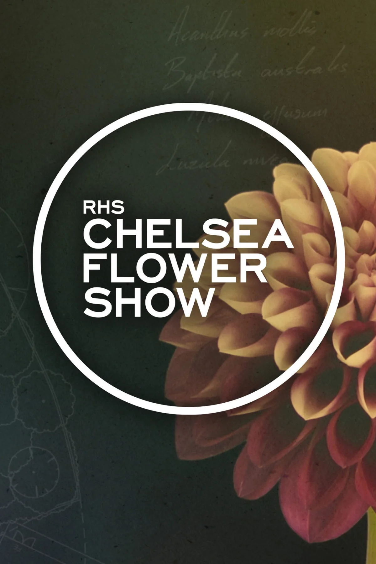 RHS Chelsea Flower Show