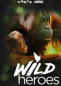 Wild Heroes