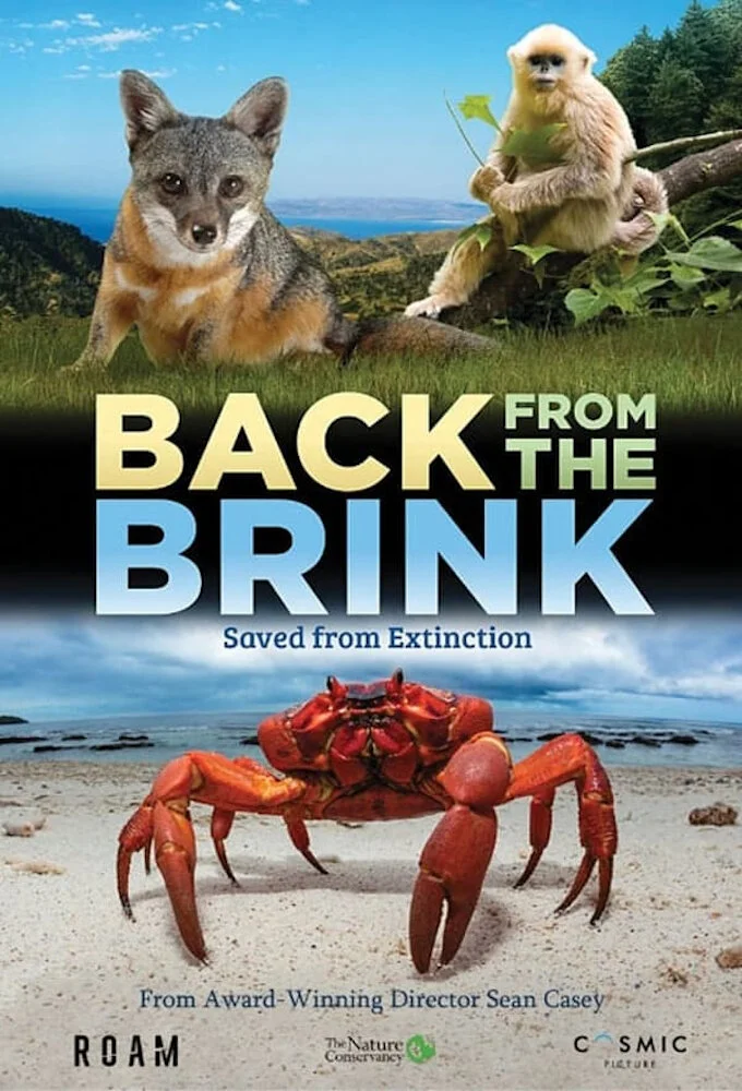 Back from the Brink