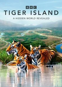Tiger Island