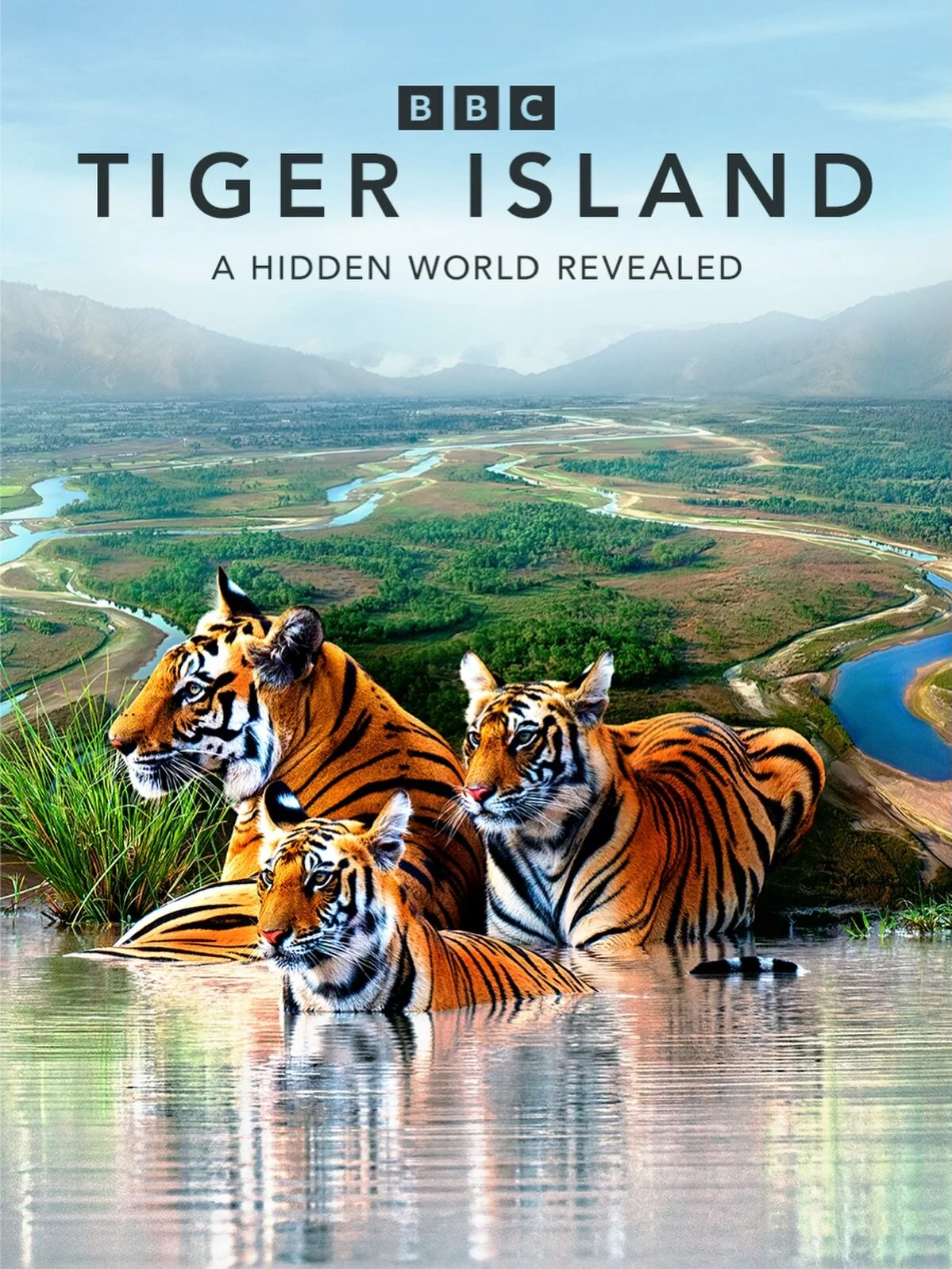 Tiger Island