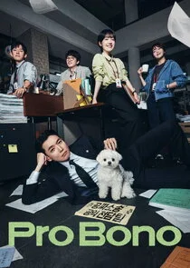 Pro Bono