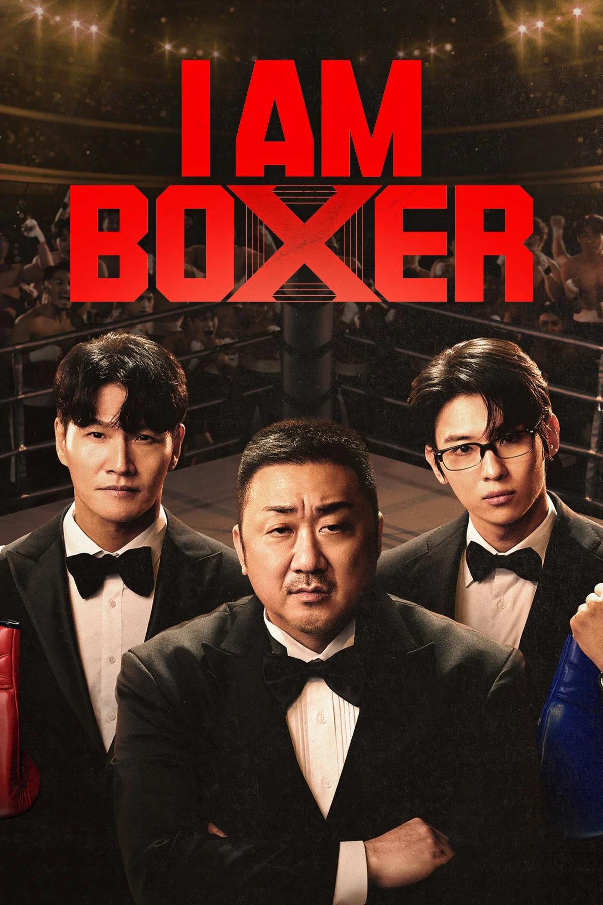 I am Boxer
