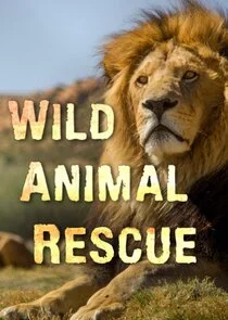 Wild Animal Rescue