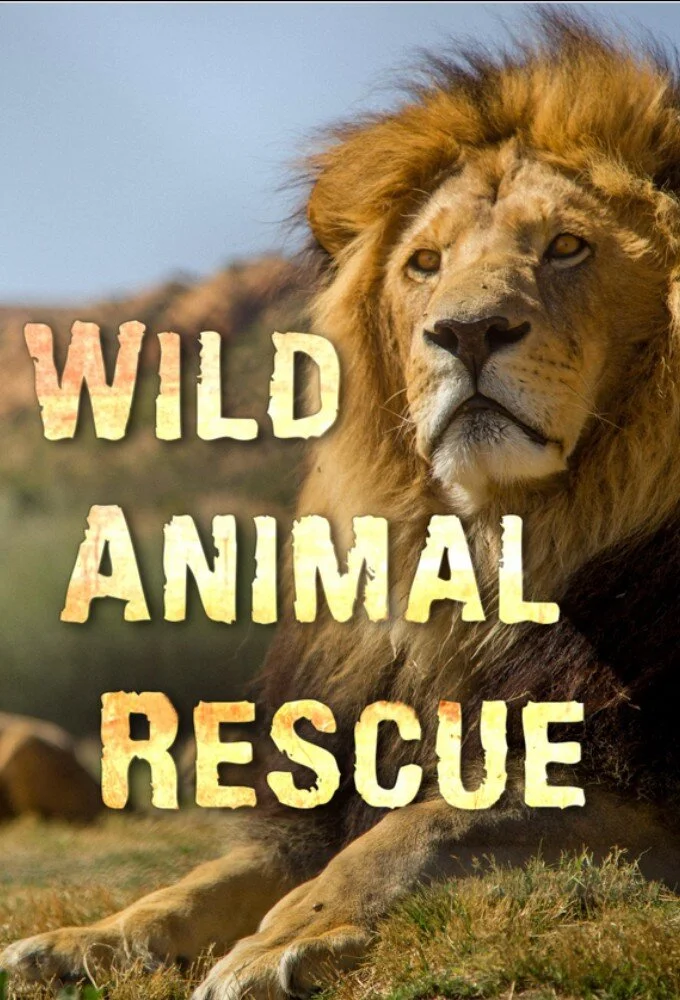 Wild Animal Rescue