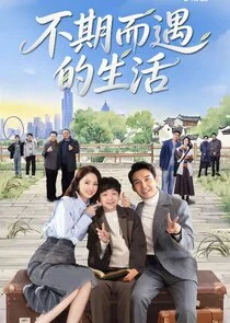 Life Optimal Solution