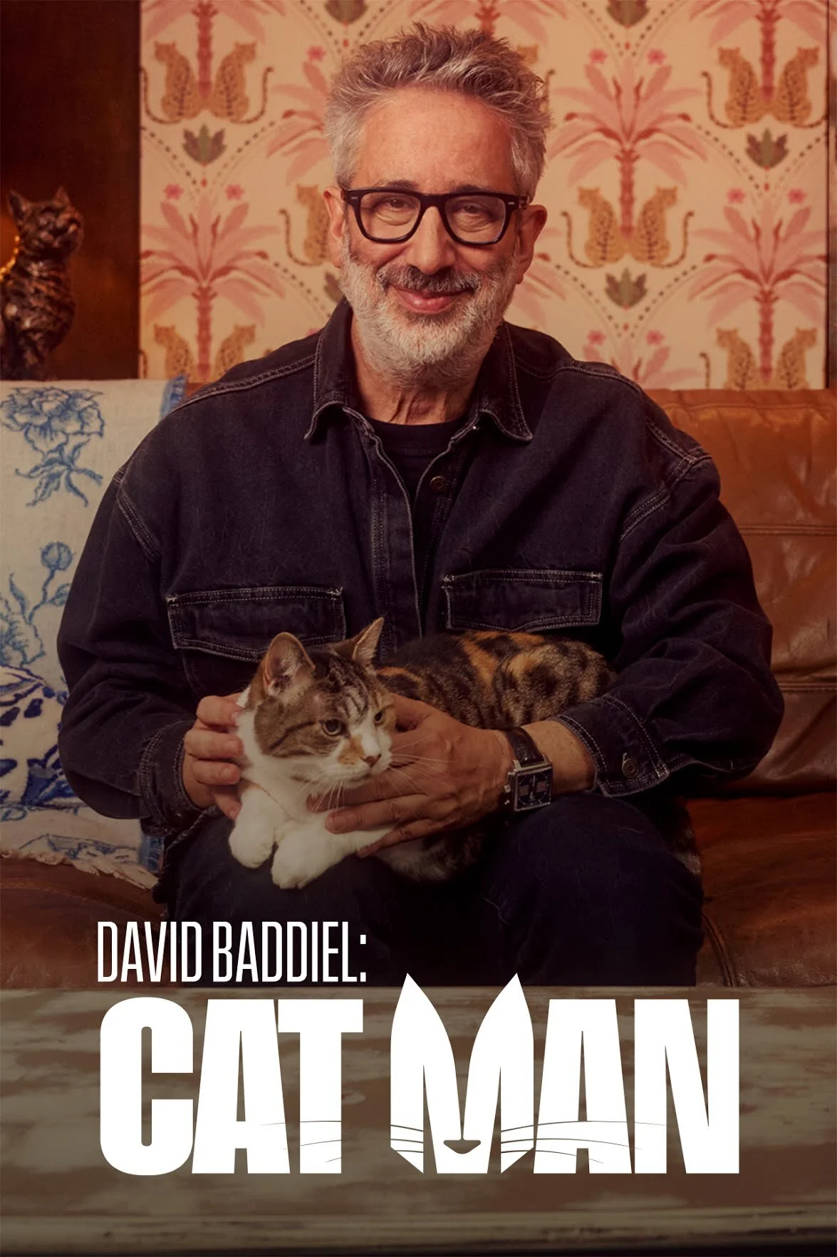 David Baddiel: Cat Man