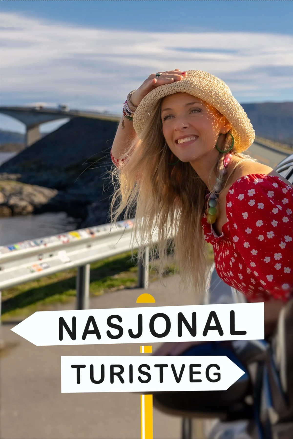 Nasjonale turistvegar
