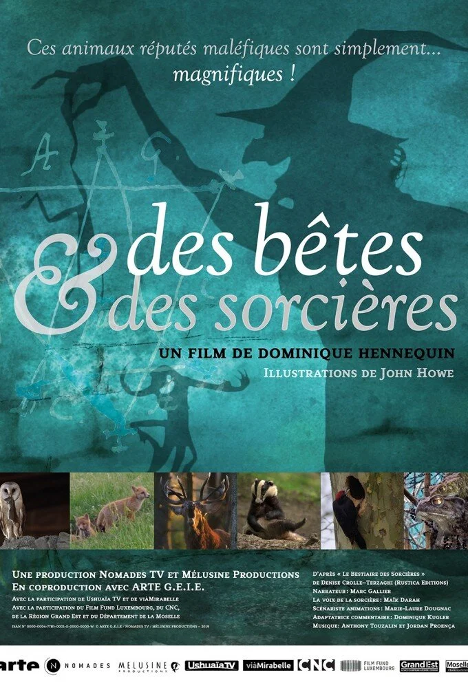 Des bêtes et des sorcières
