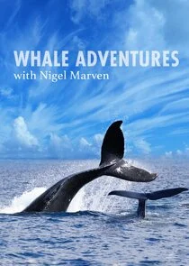 Whale Adventure with Nigel Marven