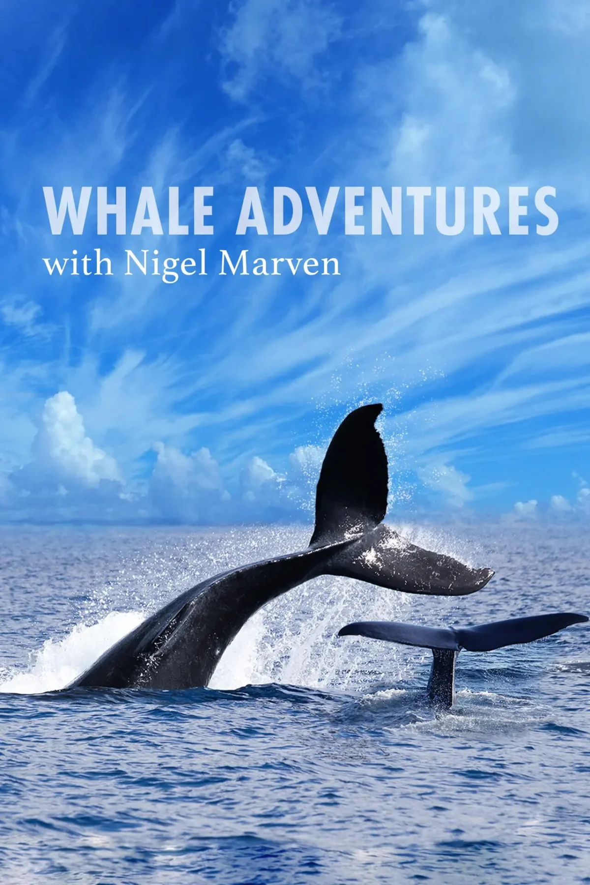 Whale Adventure with Nigel Marven