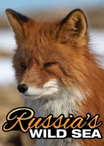 Russia's Wild Sea