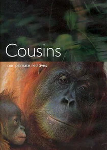 Cousins