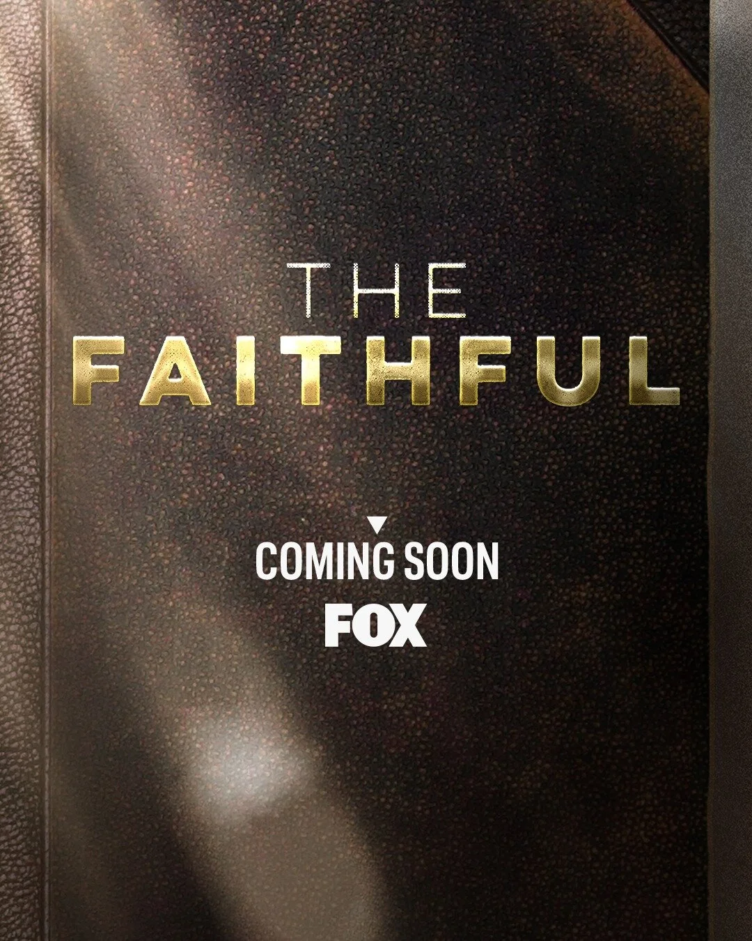 The Faithful: Women of the Bible