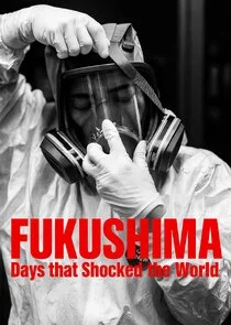 Fukushima: Days That Shocked The World