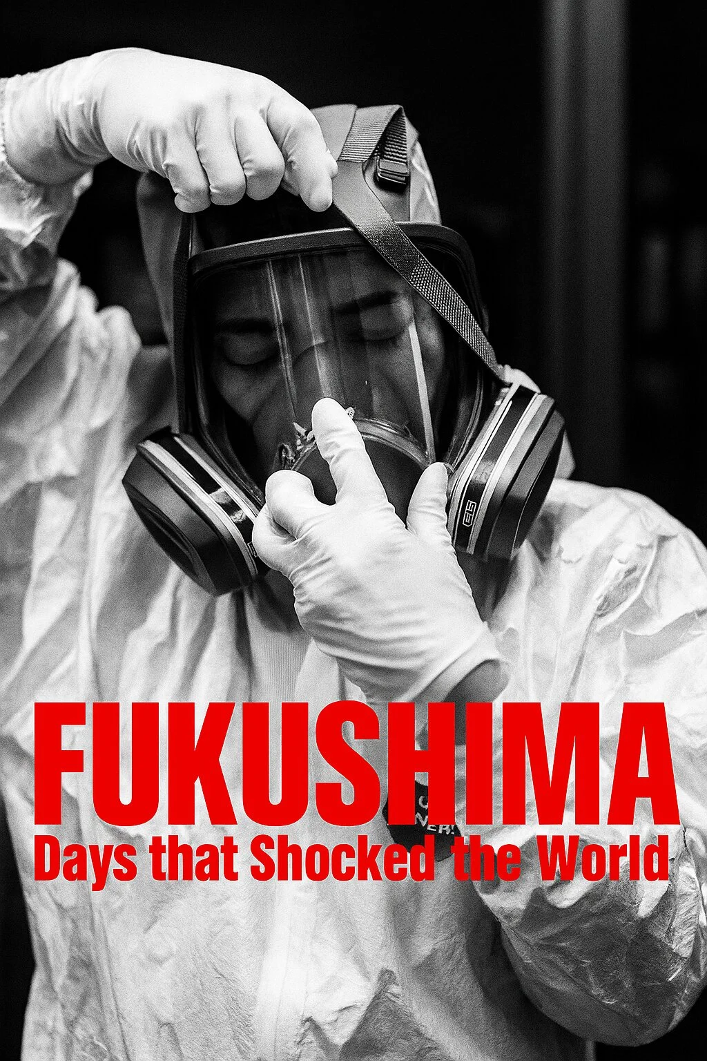 Fukushima: Days That Shocked The World