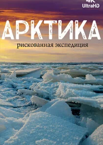 Арктика. Рискованная экспедиция