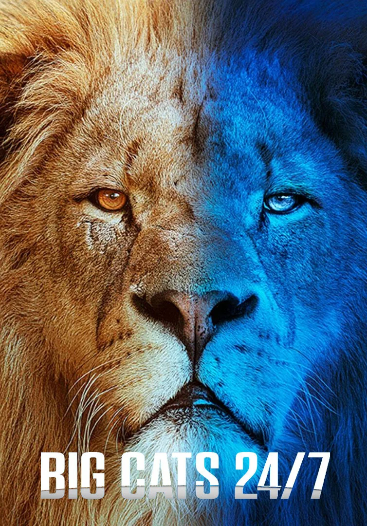 Big Cats 24/7