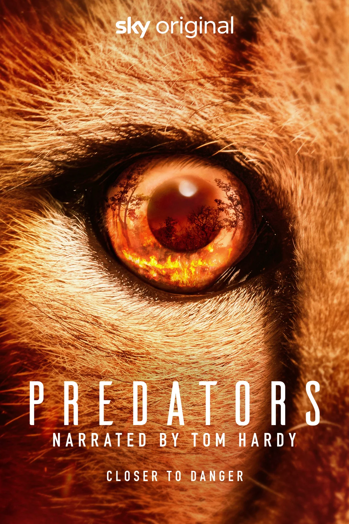 Predators