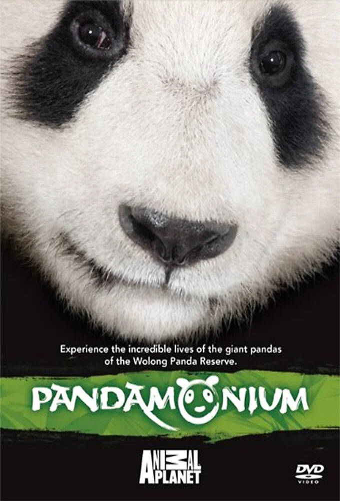 Pandamonium