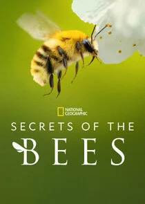 Secrets of the Bees
