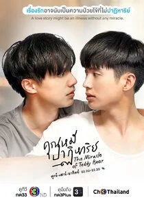 The Miracle of Teddy Bear