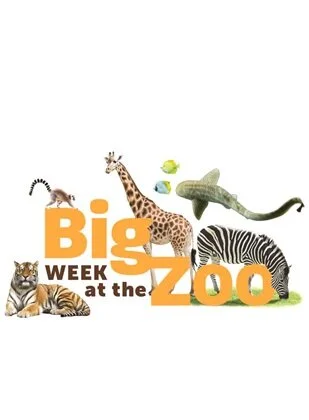 Big Week at the Zoo